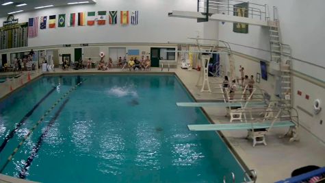Replay: Diving - 2024 Green & Gold Meet | Sep 20 @ 5 PM