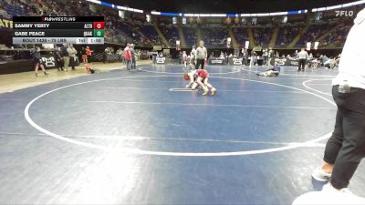 75 lbs Round Of 16 - Sammy Yerty, Altoona vs Gabe Peace, Quaker Valley