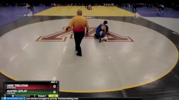 220 lbs Quarterfinal - Jade Trelstad, Shakopee vs Austin Leflay, Hastings