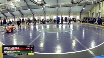 133 lbs Champ. Round 2 - Jordan Villareal, Pitt - Unattached vs Brenden Hamilton, Lake Erie College