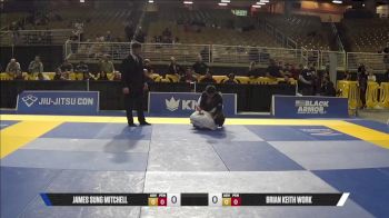 Brian Keith Work vs James Sung Mitchell 2025 Pan Jiu Jitsu IBJJF Championship
