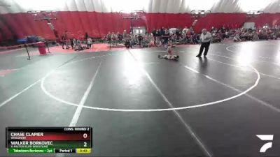 74 lbs Cons. Round 2 - Chase Clapier, Wisconsin vs Walker Borkovec, X-Factor Elite Wrestling