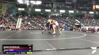 125 lbs 1st Place Match - Shane Ostermiller, AK vs Adam Carey, IA