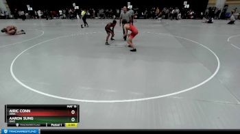 132 lbs Champ. Round 2 - Aaron Sung, Ohio vs Airic Conn, Iowa