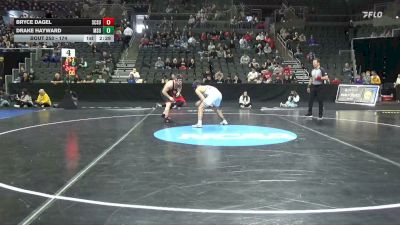 174 lbs Cons. Round 3 - Bryce Dagel, St. Cloud St. vs Drake Hayward, Minnesota St.