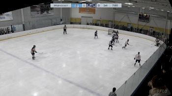 Replay: Home - 2024 Islanders HC vs WBS Knights | Nov 24 @ 3 PM