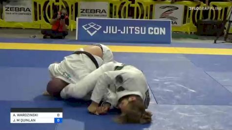 Adam Wardzinski's Butterfly Guard Leads To Armbar