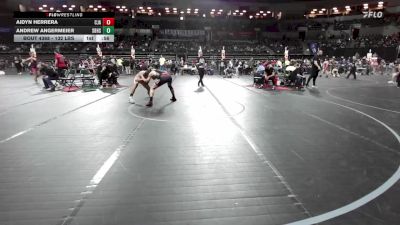 132 lbs Quarterfinal - Aidyn Herrera, Cja vs Andrew Angermeier, Sbhs