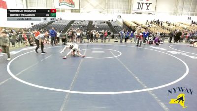 81 lbs Cons. Semi - Hunter Vanauken, Club Not Listed vs Dominick Moulton, Brawler Elite