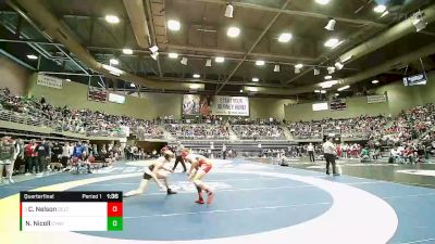 Quarterfinal - Carson Nelson, Delta vs Nathan Nicoll, Canyon View