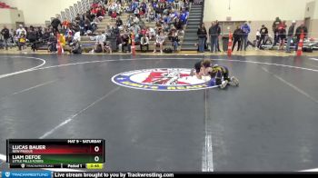 65 lbs Champ. Round 1 - Lucas Bauer, New Prague vs Liam DeFoe, Little Falls Flyers