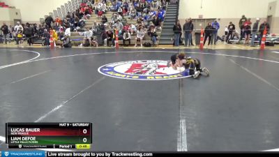 65 lbs Champ. Round 1 - Lucas Bauer, New Prague vs Liam DeFoe, Little Falls Flyers