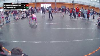 70 lbs Round 3 (4 Team) - Jayliannes Hardguittini, Team Palmetto Pink vs Aleysha Mendez, Team Palmetto Purple