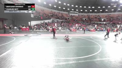 70 lbs Cons. Semi - Bentleigh Sherman, Chetek-Weyerhaeuser vs Charliee Nett, Dodgeville Mat Club