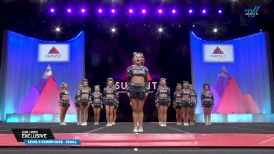 Icon Cheer - Exclusive [2025 L5 Senior Coed - Small Prelims] 2025 The D2 Summit