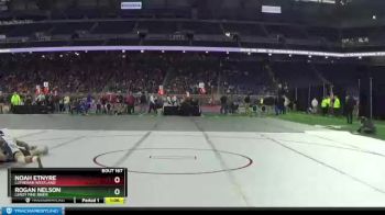 D4-171 lbs Quarterfinal - Noah Etnyre, Lutheran Westland vs Rogan Nelson, LeRoy Pine River