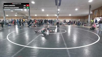 74 lbs Final - Noah Almedina, Dickson City vs Lincoln Scicchitano, Coal Township