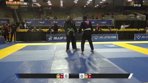 Jhonatan Abrantes vs Amin Mohammad Ibrahim 2026 Pan Jiu Jitsu IBJJF Championship