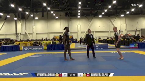 Charlie Eli Gilpin vs Devhonte M. Johnson 2024 World IBJJF Jiu-Jitsu No-Gi Championship