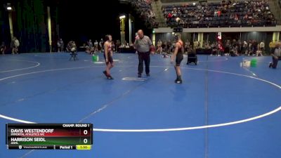 90 lbs Champ. Round 1 - Davis Westendorf, Immortal Athletics WC vs Harrison Seidl, ANML