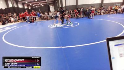 113 lbs Cons. Round 2 - Domanic Jaworsky, Toro World Club vs Sully DeHan, Reality Sports Wrestling Club