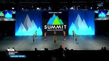 Velocity Dance - Shrek [2025 Mini Coed - Hip Hop Semis] 2025 The Dance Summit