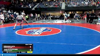 7A-165 lbs Quarterfinal - Zaelyn Fletcher, Camden County vs Graham Luca, North Paulding