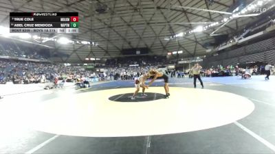 Boys 1A 215 lbs Champ. Round 2 - True Cole, Medical Lake vs Abel Cruz Mendoza, Wapato