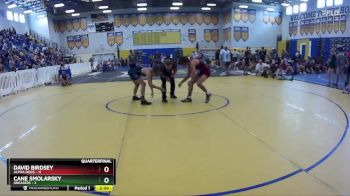 132 lbs Quarters & Wb (16 Team) - David Birdsey, Alpha Dogs vs Cane Smolarsky, Greasers