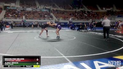 D1-138 lbs Semifinal - Alena Gracia, Cesar Chavez vs Brooklynn Nelson, Mountain View - Marana