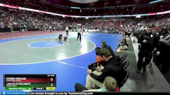 D1-215 lbs Quarterfinal - Ayden Grulke, Hartford Union vs Lincoln McCarty, River Falls