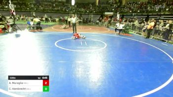 53 lbs Quarterfinal - Aiden Muraglia, Wall Knights vs Colt Hambrecht, Galloway Mustangs