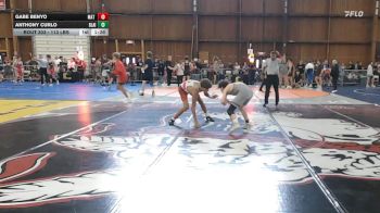 113 lbs Quarterfinal - Gabe Benyo, Mat Assassins/hazleton Area vs Anthony Curlo, Blair Academy