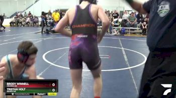 119 lbs Quarterfinal - Brody Winnell, Coloma WC vs Tristan Holt, Romeo WC