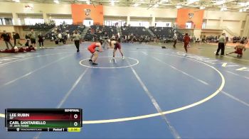 125 lbs Semifinal - Lee Rubin, RIT vs Carl Santariello, St. John Fisher