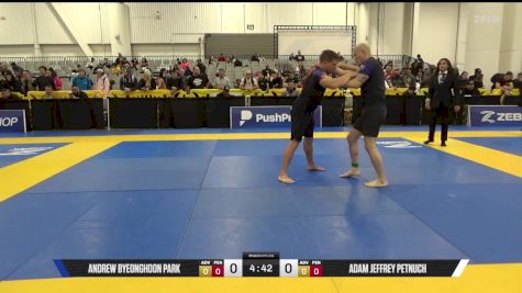 Adam Jeffrey Petnuch vs Andrew Byeonghoon Park 2025 World IBJJF Jiu-Jitsu No-Gi Championship