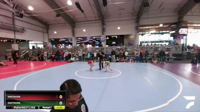 52 lbs Semifinal - Brynn Conger, Hornet Wrestling Club vs Copeland Lundgren, Texas Elite Wrestling Club