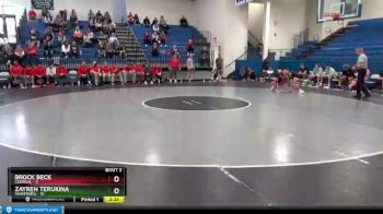 141 lbs Round 1 (4 Team) - Zayren Terukina, Wartburg vs Brock Beck, Central