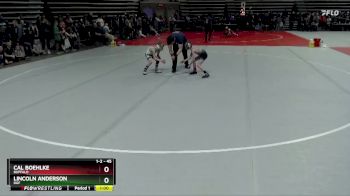 45 lbs 3rd Place Match - Cal Boehlke, Buffalo vs Lincoln Anderson, DGF