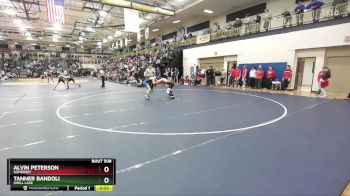 138 lbs Cons. Round 3 - Tanner Bandoli, Shell Lake vs Alvin Peterson, Somerset