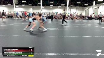 113 lbs Round 1 (4 Team) - Anthony Pellegrino, Flickr Boyz Eagles vs Cullen Edwards, PA Alliance Blue