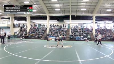 125 lbs Semifinal - Anthony Aniciete, Tiffin vs Colton Drousias, Glenville State