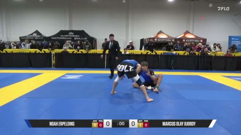 Noah Erpelding vs Marcus Olay Bjordy 2026 Pan IBJJF Jiu-Jitsu No-Gi Championship