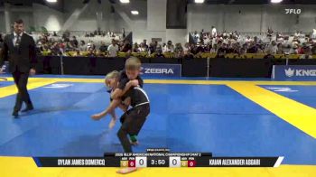 Kaian Alexander Asgari vs Dylan James Domercq 2026 American National IBJJF Jiu-Jitsu Championship