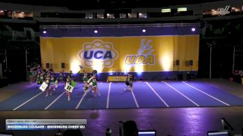 Bridesburg Cougars - Bridesburg Cheer 12U [2025 Traditional Rec - 12Y] 2025 UCA Northeast Regional