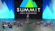 Majestic Dance Team - Mini Pom [2025 Mini - Pom - Small Finals] 2025 The Dance Summit