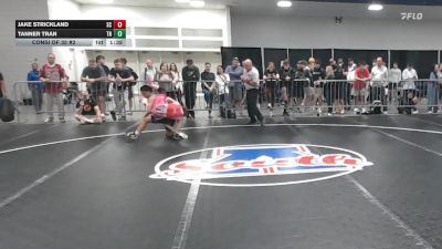 113 lbs Consi Of 32 #2 - Jake Strickland, SC vs Tanner Tran, TN