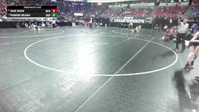 D3-126 lbs Champ. Round 1 - Jake Buss, Weyauwega-Fremont vs Parker Mlsna, Cashton