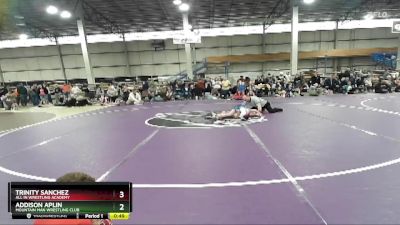 64-73 lbs Round 1 - Addison Aplin, Mountain Man Wrestling Club vs Trinity Sanchez, All In Wrestling Academy