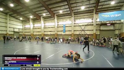 96 lbs Semifinal - Remington Zimmerer, Colorado vs Tia Hotema, Hawaii